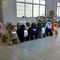 Hansel animal electric montable stuffed animal electric ride control box kiddie ride indoor amusement park rides proveedor