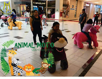 Hansel animal mechanicals games ride on kids animals scooter with coin operated proveedor